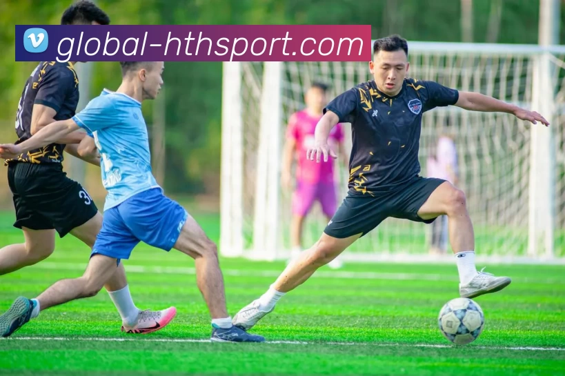 hth体育APP 高清赛事图