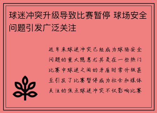 球迷冲突升级导致比赛暂停 球场安全问题引发广泛关注